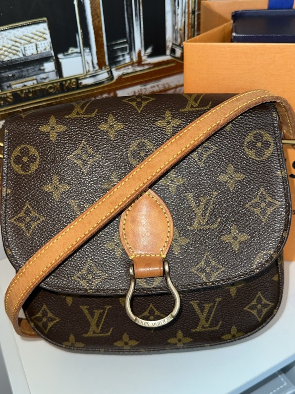 Louis Vuitton Monogram Saint Cloud Monogram Crossbody Bag